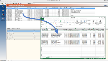 Export to Excel and ERP